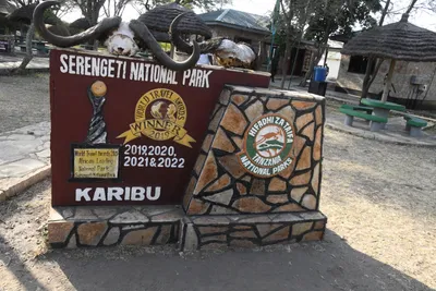 DSC_3371 (Large).JPG